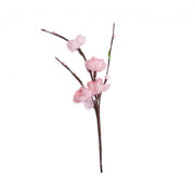 08503_2|8eabd534c3e49fe5a4c0a6042c538d12