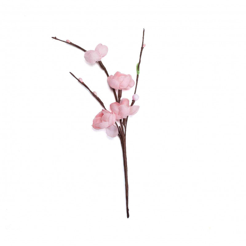 08503_2|8eabd534c3e49fe5a4c0a6042c538d12