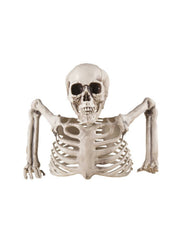 Decorazione Di Halloween Scheletro Mezzo Busto 20cm