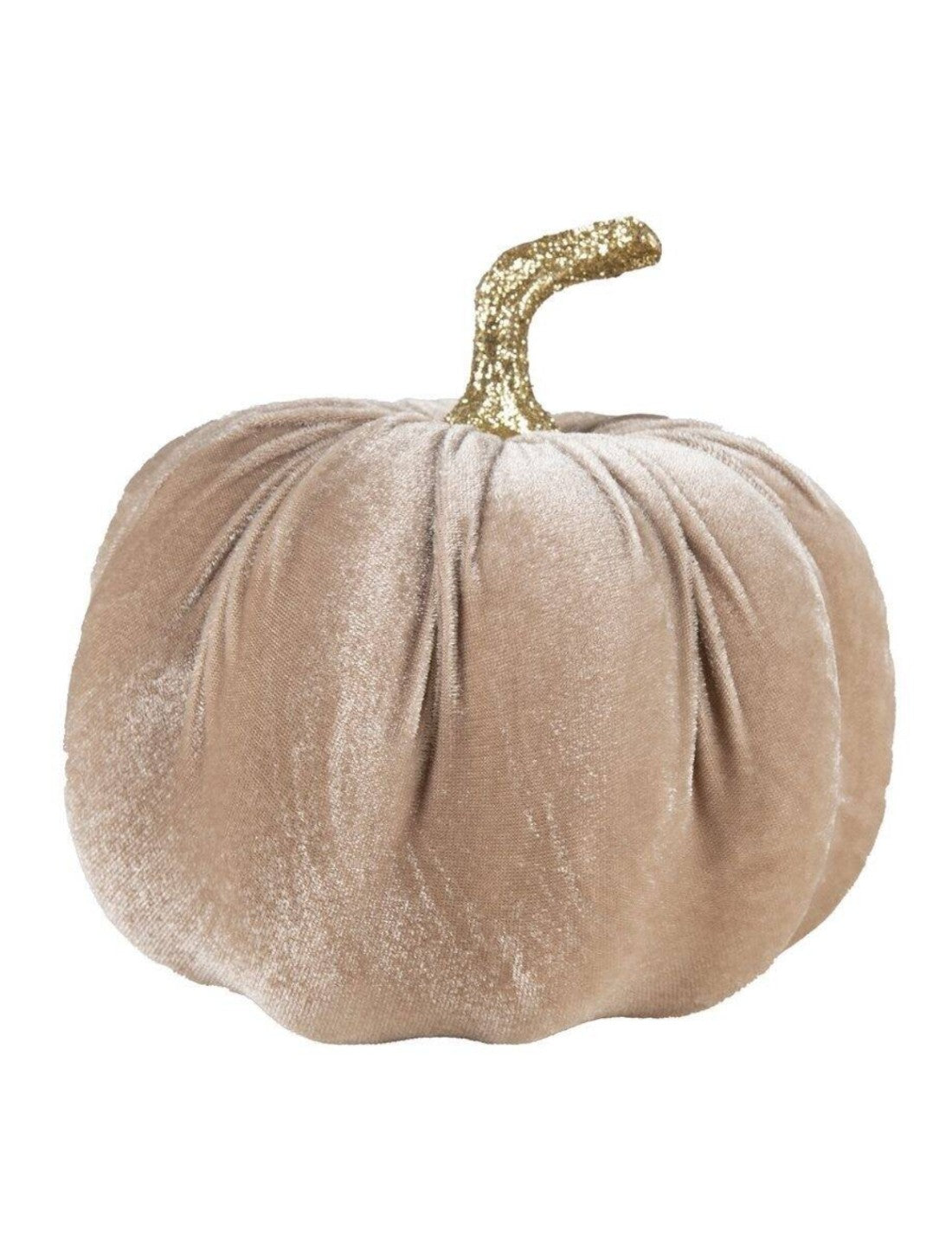 08667_2|1db4407f331aebfaf3c30a45a01501cf