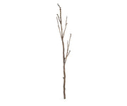 08921_1|b7bd1ae004b46991814e77cab1dda365