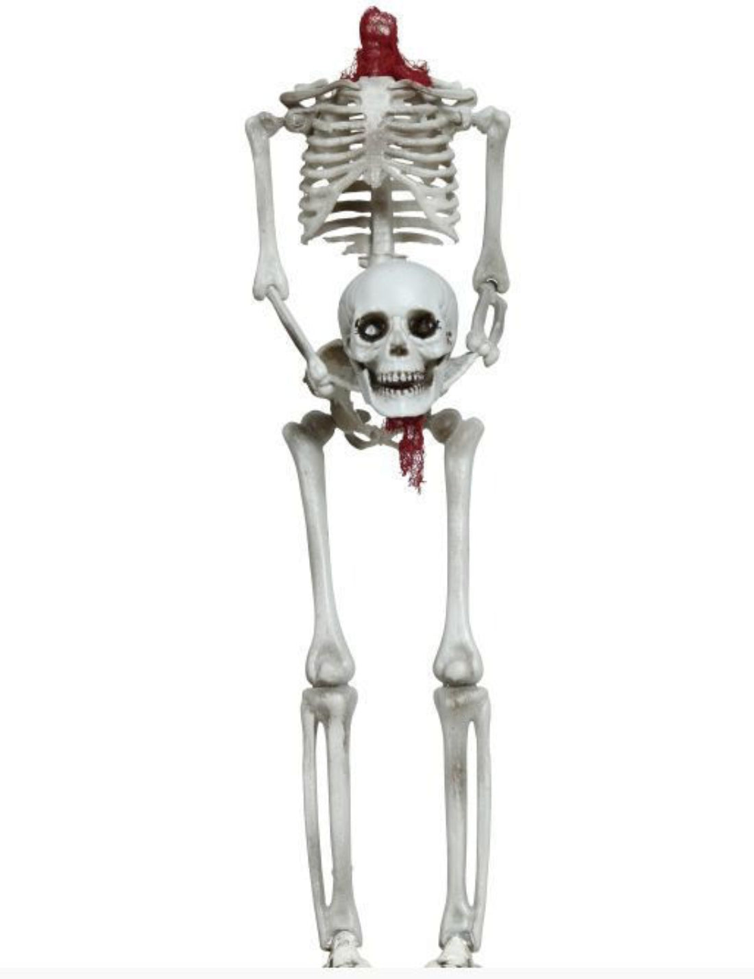 Decorazione Di Halloween Scheletro Testa Mozzata 40cm