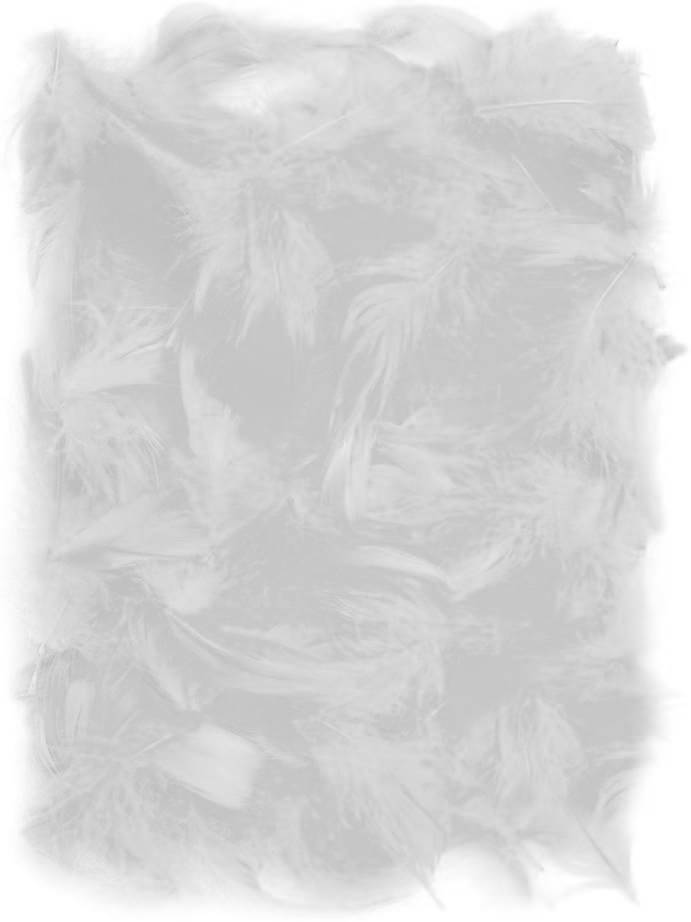 Piume Bianche Decorative 10gr.