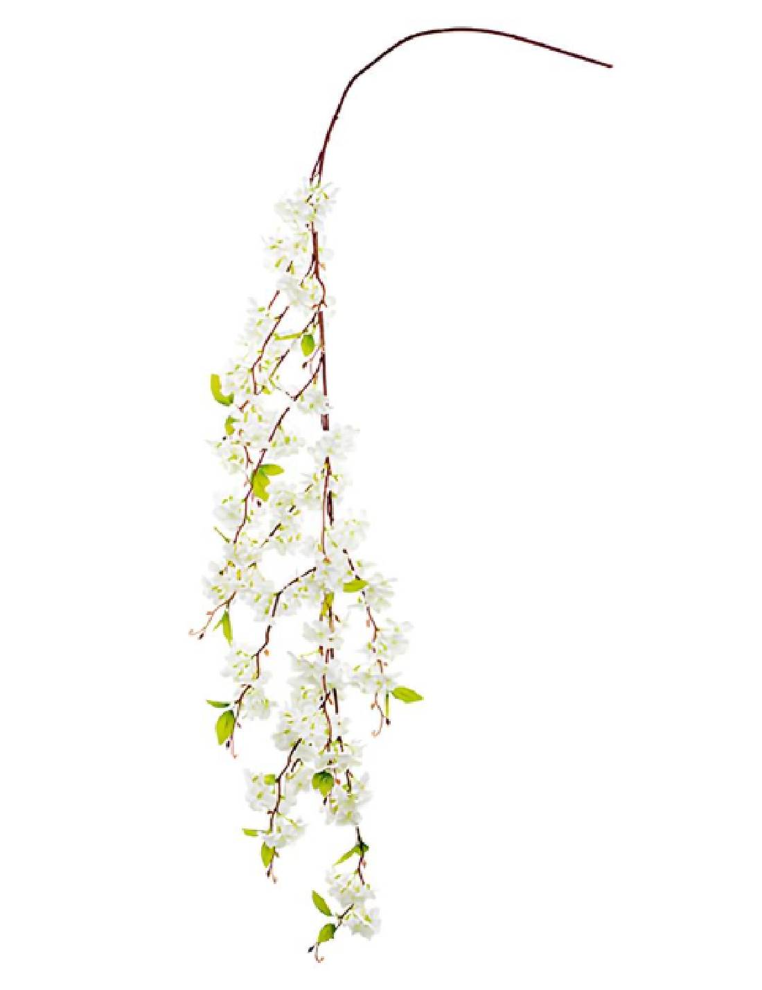 09471_1|447a52043c1eed5af0bf43e067cd8101