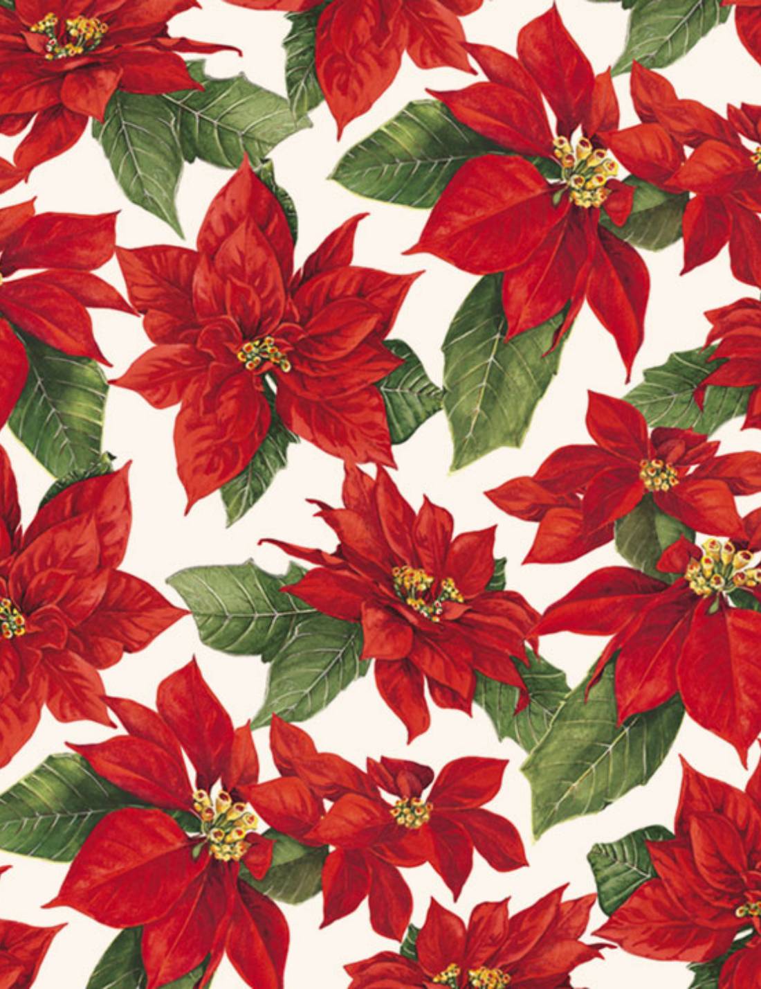 Foglio Di Carta Tassotti 70x100cm Poinsezia 85gr