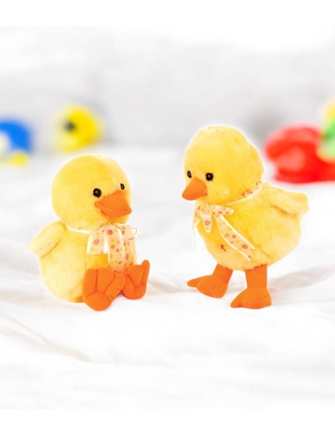 09971_2|003842fa18d4576602862552eddeca6e