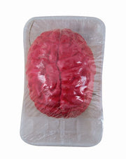Cervello Finto Insanguinato Ornamenti Halloween
