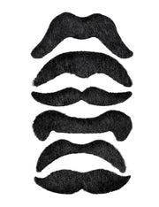 10449_1|8b5d066e08a5c766ea9b85511134c445