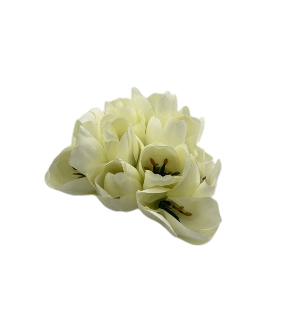 11350_1|4f8fe4315b7d5142f180e252cb25cd6b