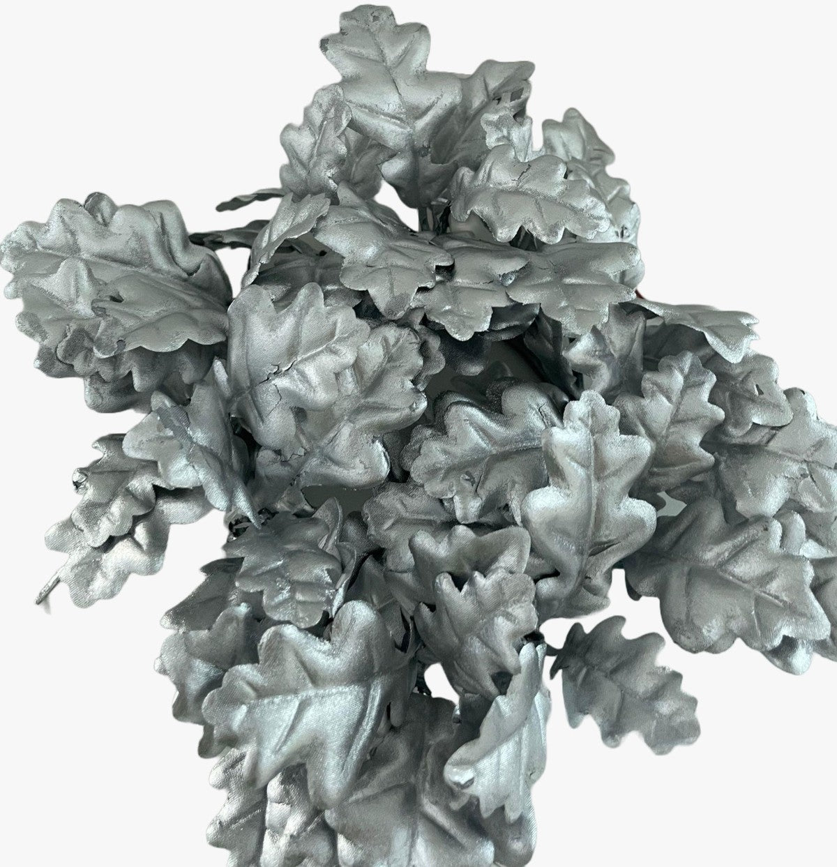 11526_1|22e2aa6e83eb82aab0c9b09455fc7060