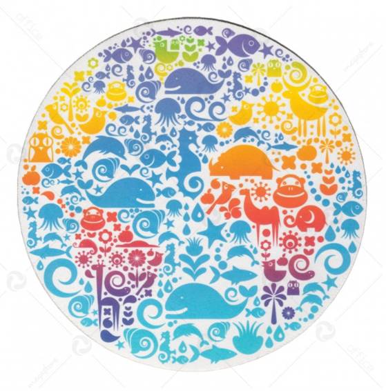 11713_1|7d5e11ad3e8ff76bc58807cd6dda5b23