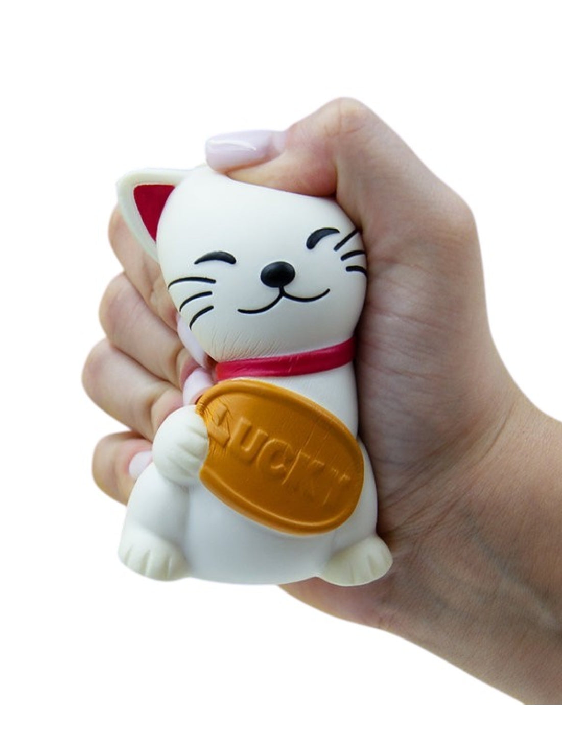 11928_2|88ea7b3a9555bde3bb6f67f9138e1ae5