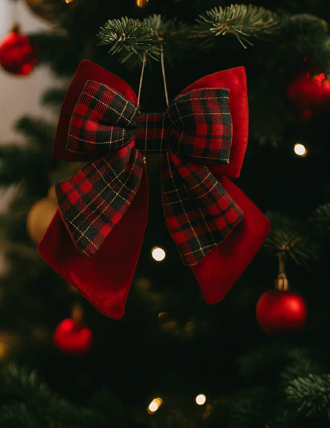 12058_2|318effdd6ff5c30bf490750f33800ab6