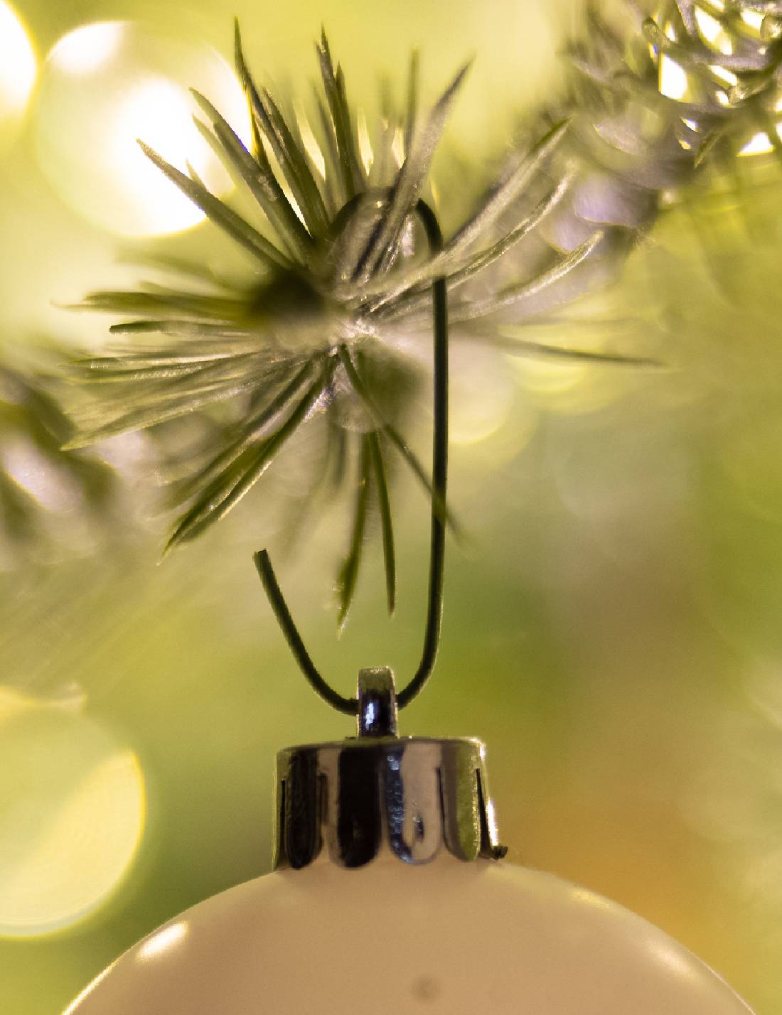 12125_2|82716f3735239c1194e2febeaeac254e