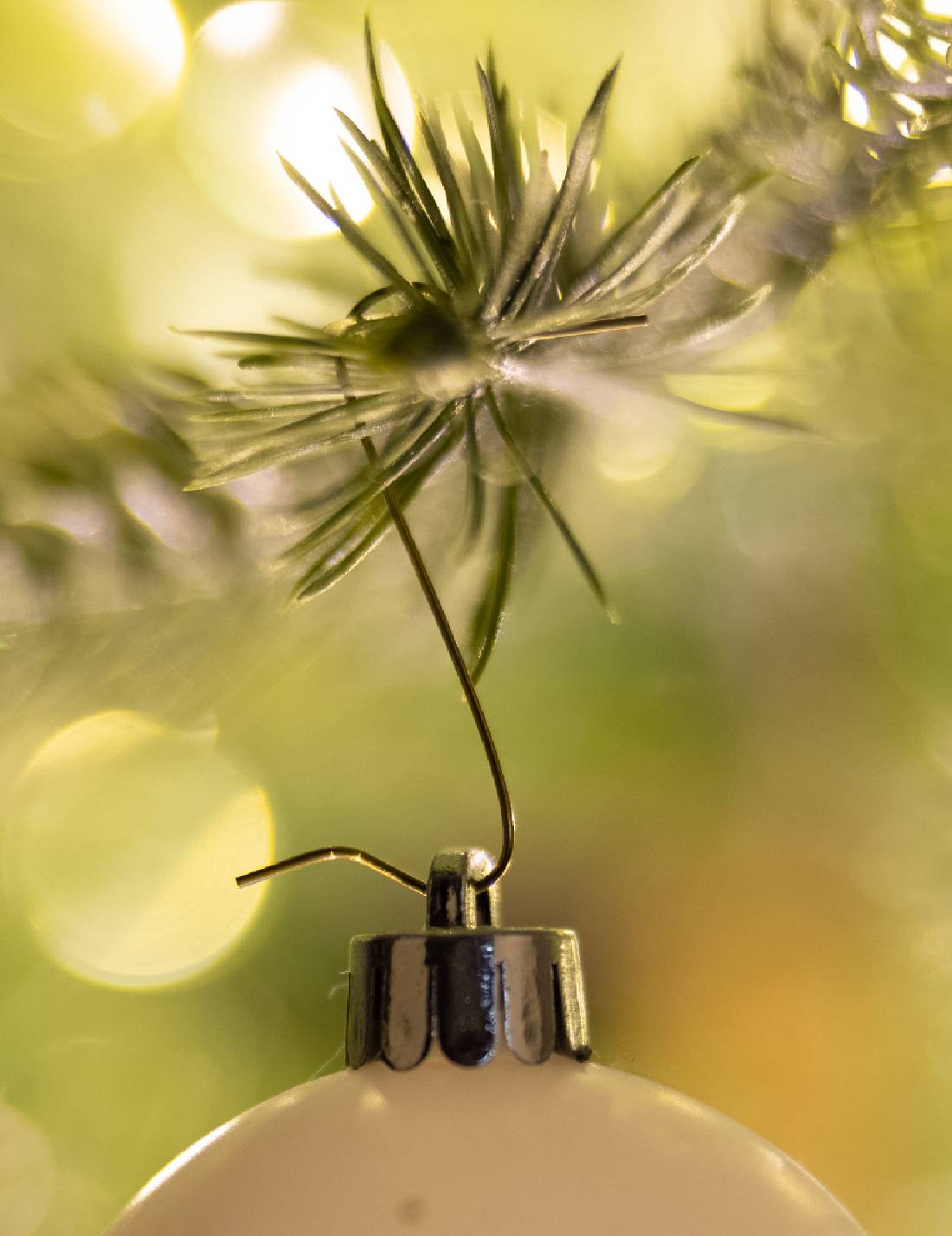 12126_2|7fdf83ca9c2b5e19d2c923ed6538e062