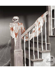 12132_2|37404edff2870da55801f17f1f95097e