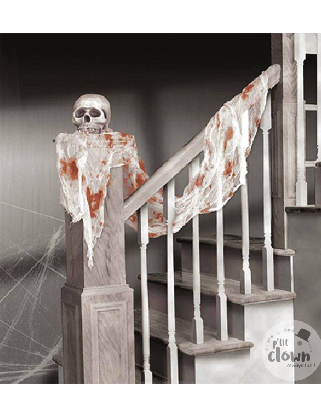 12132_2|37404edff2870da55801f17f1f95097e