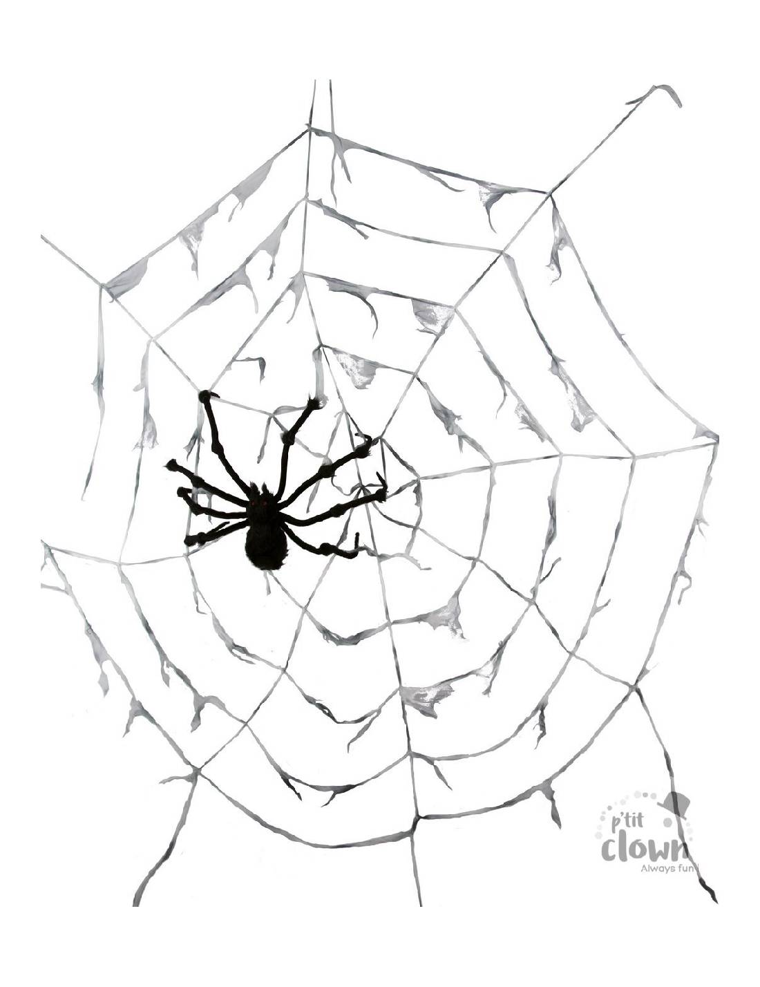 12145_1|4f43e71202a7697f08ddbccc044b785e