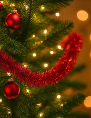 12166_2|341585cfeac5d53e6fb446d86d499a1a