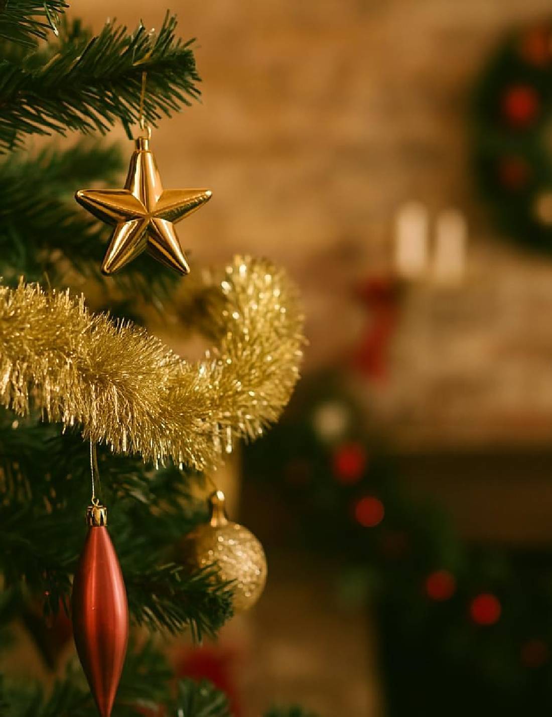 12167_2|78d52fb036327dbd473cca46f44c0835