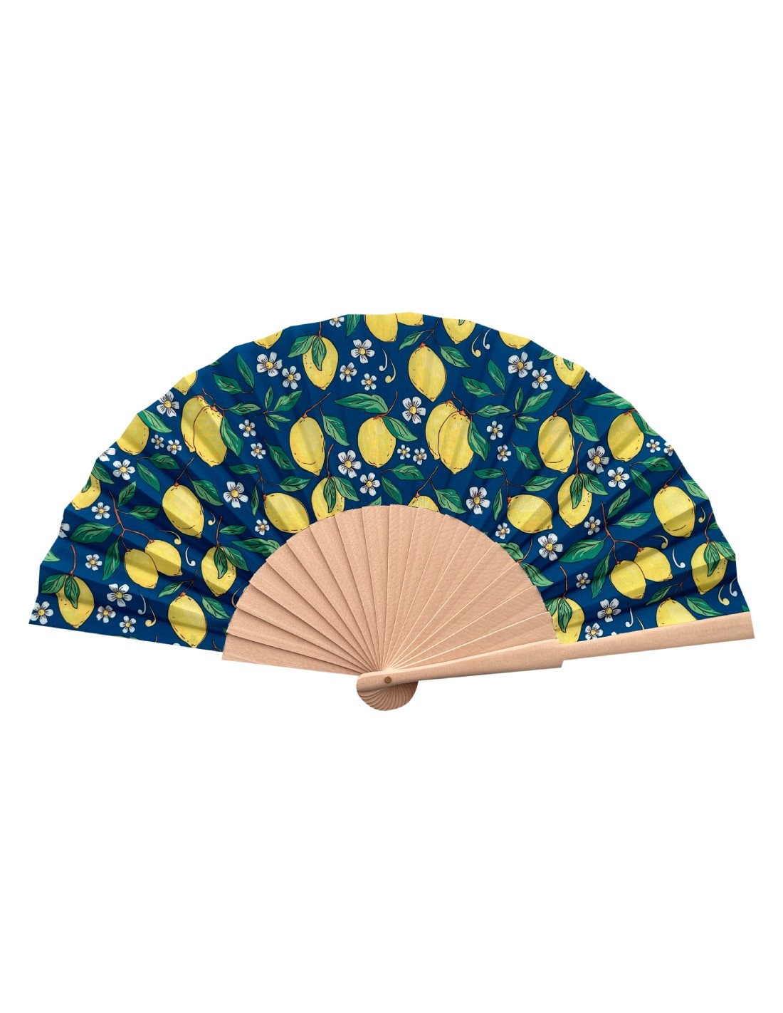 12243_1|f05922291a4b73f3098586251a73640d