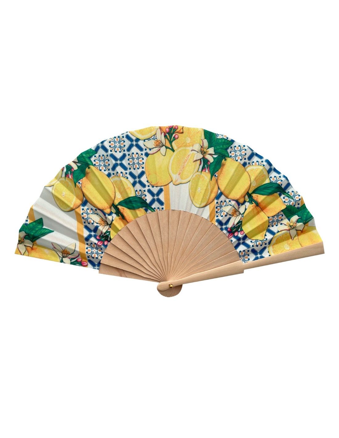 12243_3|812bcc543e01950663b42354ce183e27