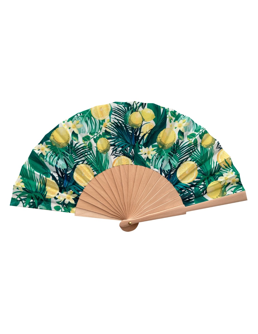 12243_6|b25d0ac57ad3265c69a294967ccf7811