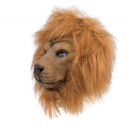 12336_1|1607e010ad47c42745c1a3a95c18e13e