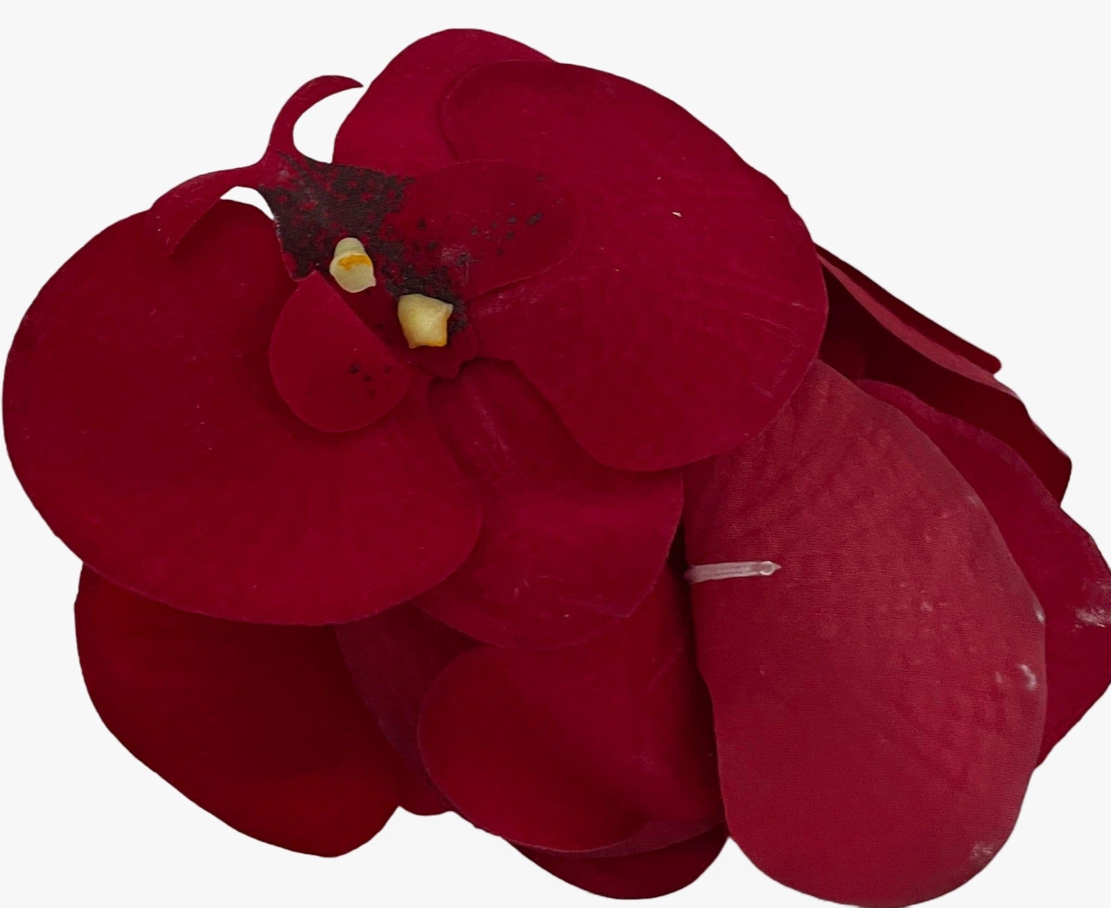 12435_1|57b97dfdae1ff11ea07359d04f686586