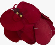 12435_1|57b97dfdae1ff11ea07359d04f686586