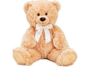 12452_1|6728d87eb79400ede4c116cf062c5489