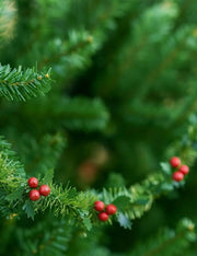 Addobbo Di Natale Ghirlanda Festone Con Foglie E Bacche 270cm