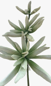 12617_1|622e99254a5538bb1934315229bf6454