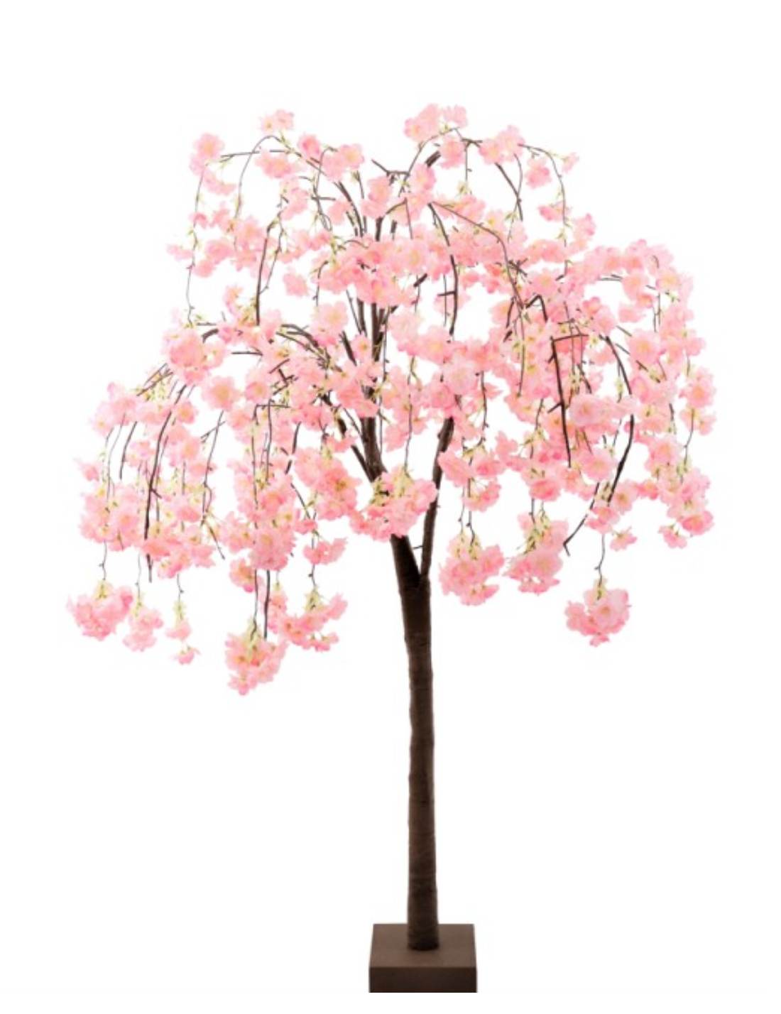 12905_1|7244ba1a45f1bec50ad4c05b8708140f