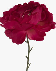 13433_1|542c416493bf885be5aa2f2a8d2b5f41