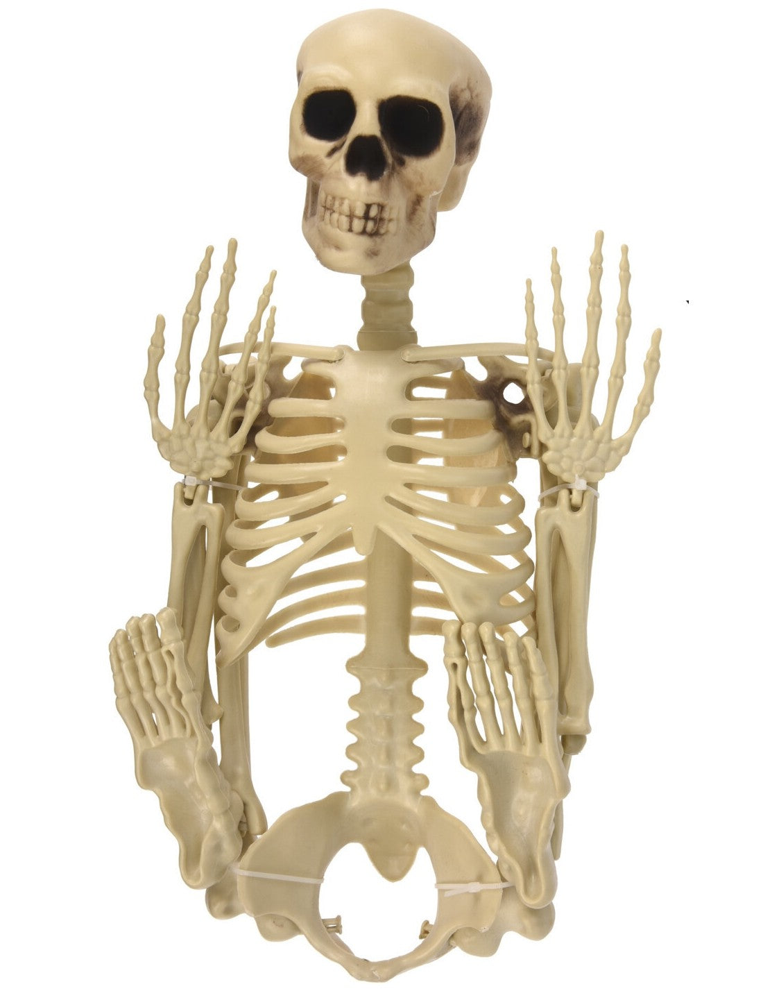 Decorazione Di Halloween Scheletro 90cm
