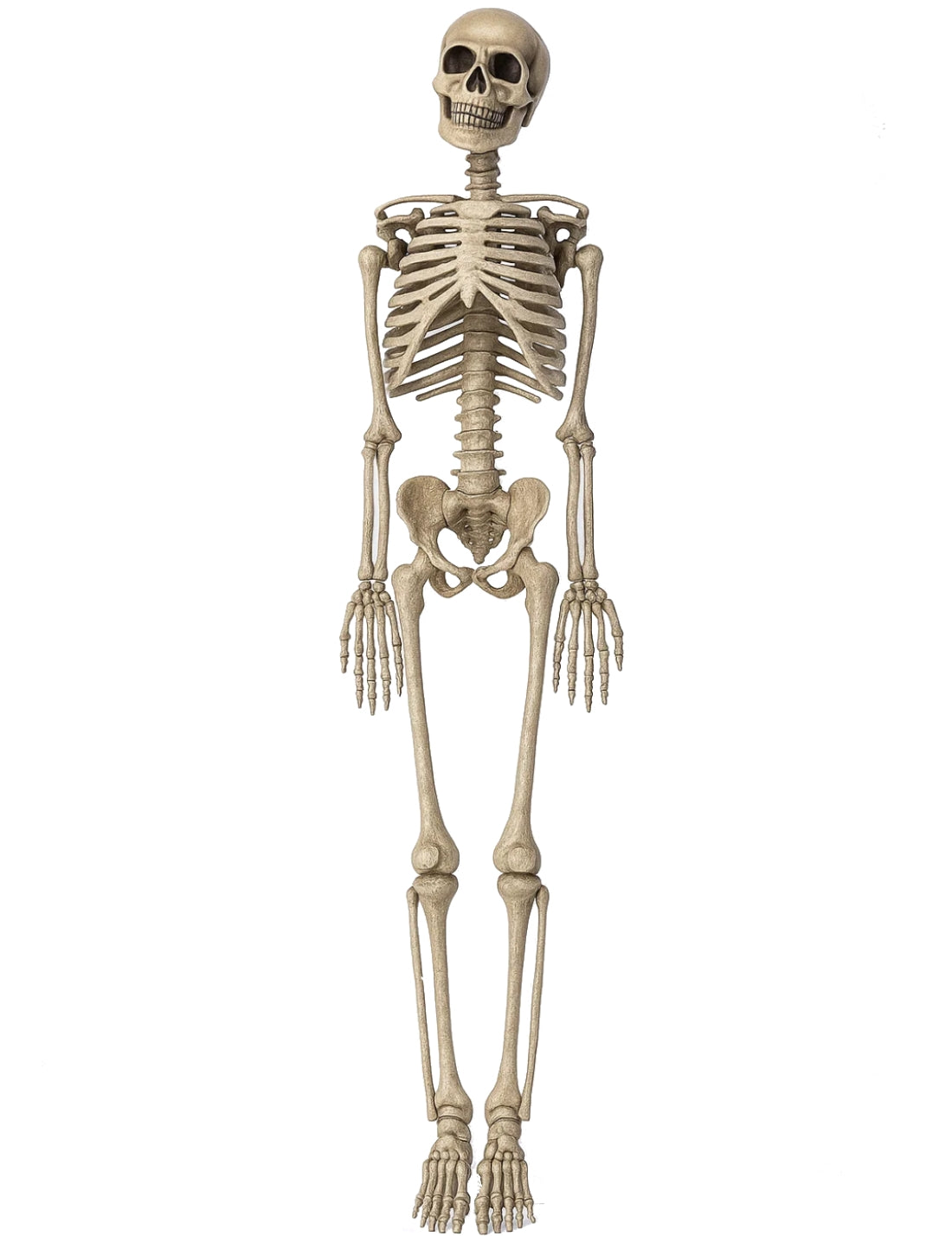 Decorazione Di Halloween Scheletro 90cm