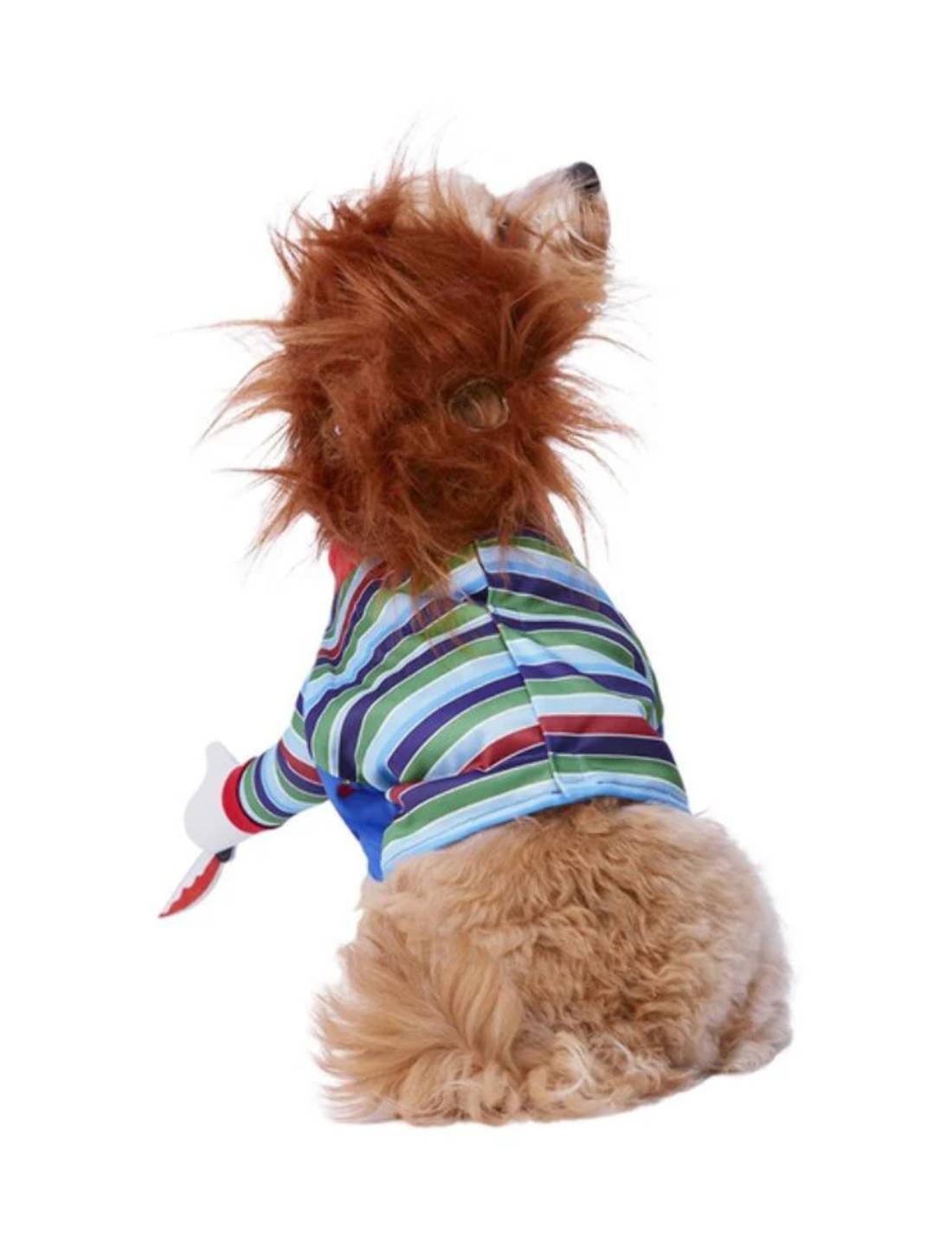 Costume Di Halloween Cane Zucca Piccola Taglia
