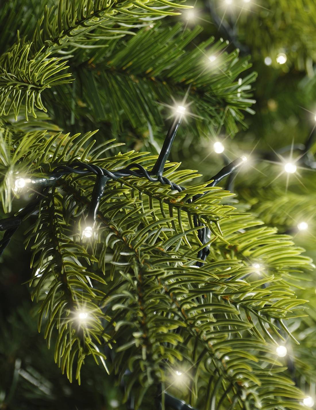 Serie Di Luci Natale Compact Twinkle Bianco Caldo 350 LED 7m