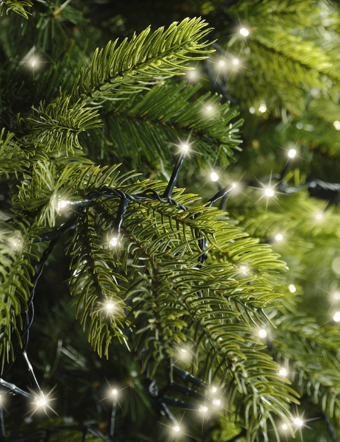 Serie Di Luci Natale Compact Twinkle Bianco Caldo 750 LED 16m