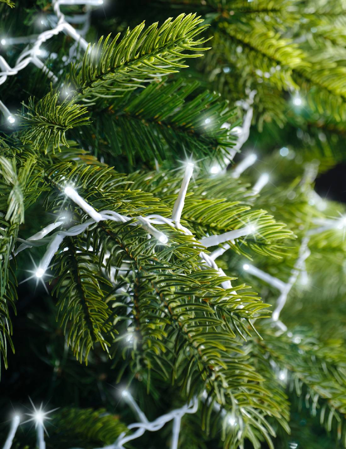 Serie Di Luci Natale Compact Ghirlanda Twinkle Bianco Freddo 750 LED 16m