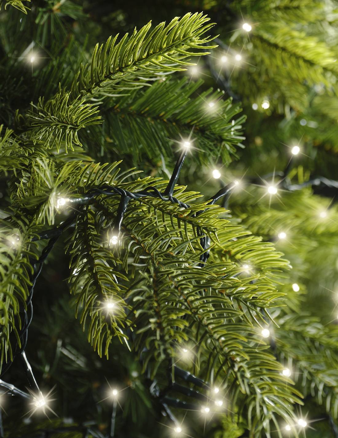 Serie Di Luci Natale Compact Twinkle Bianco Caldo 1000 LED 22m