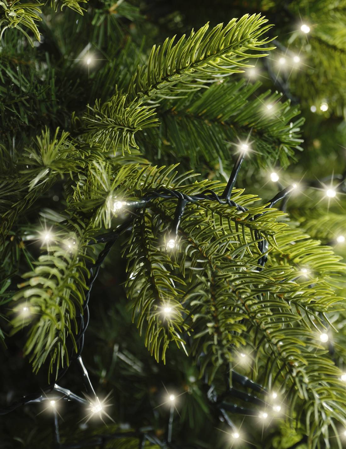 Serie Di Luci Natale Compact Twinkle Bianco Caldo 2000 LED 45m