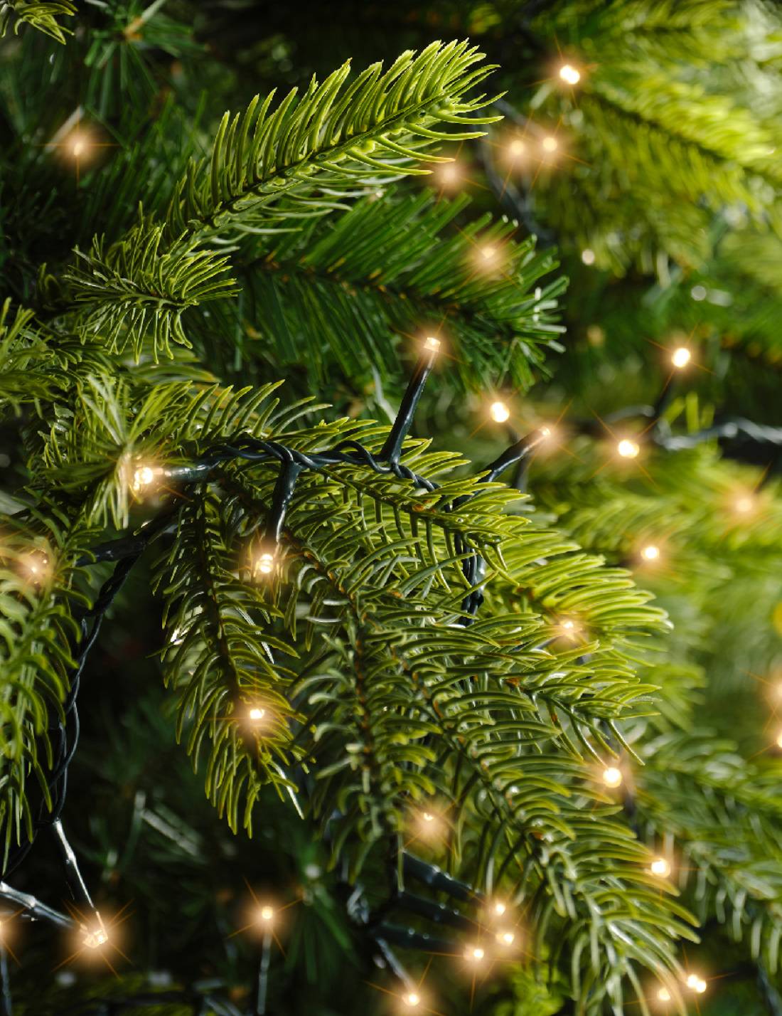 Set Di Luci Natale Compact Ghirlanda Twinkle Caldo 3000 LED 60m
