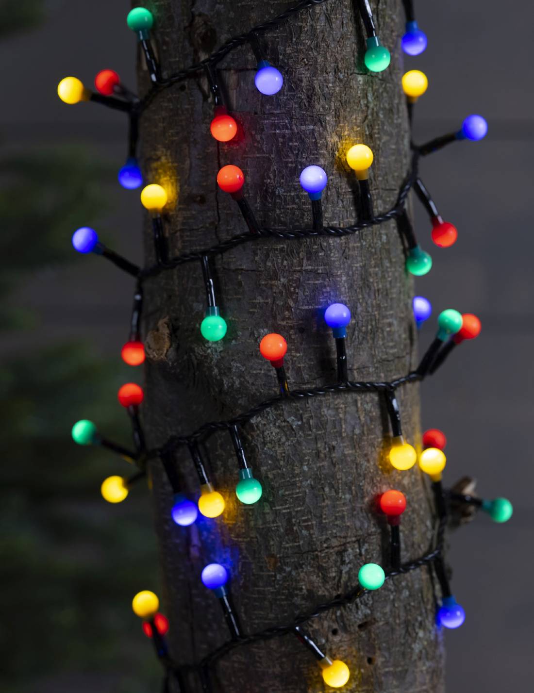 Serie Di Luci Natale Cherry Compact Twinkle 350 LED 7,5m