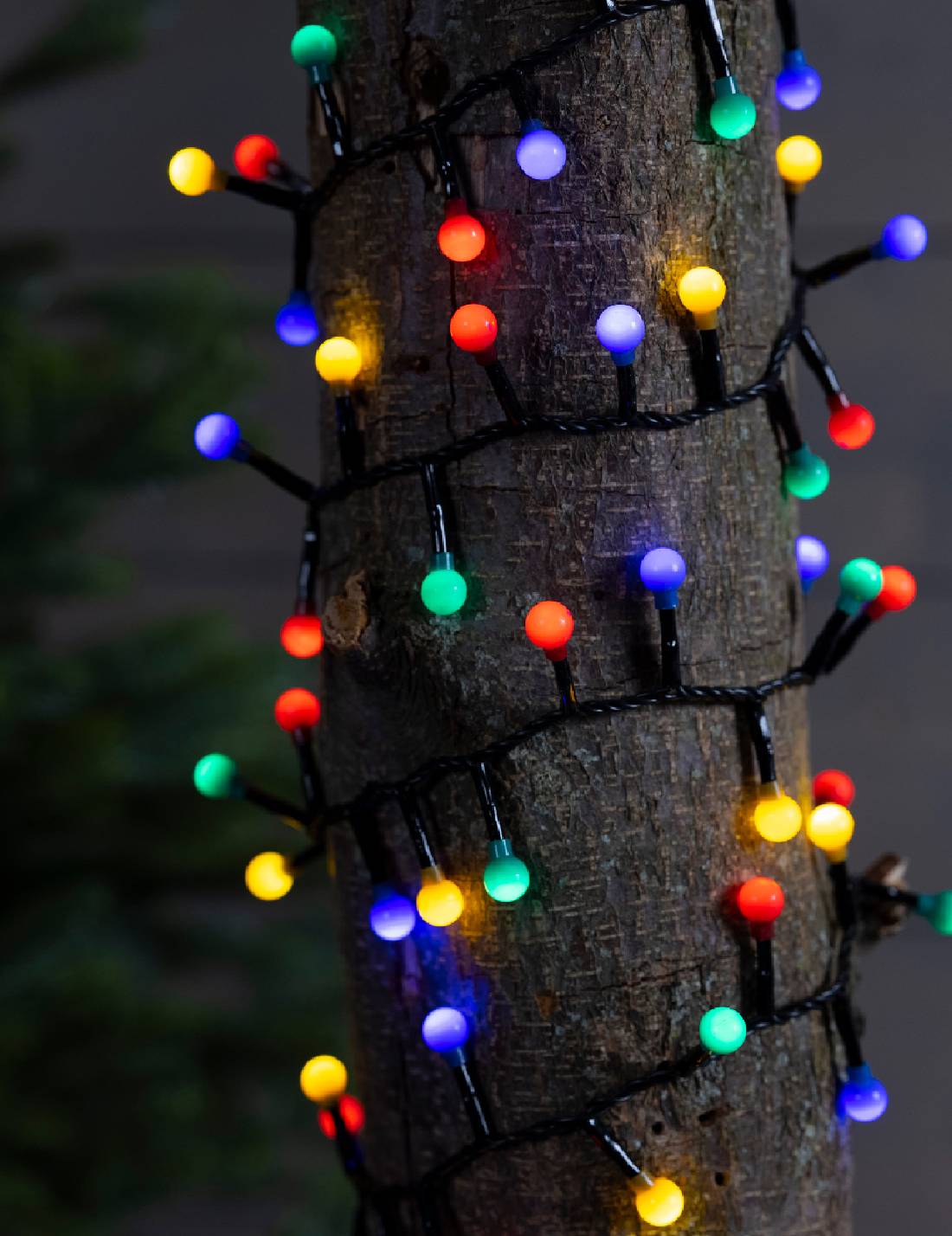 Serie Di Luci Natale Cherry Compact Twinkle Multicolore 500 LED 11m