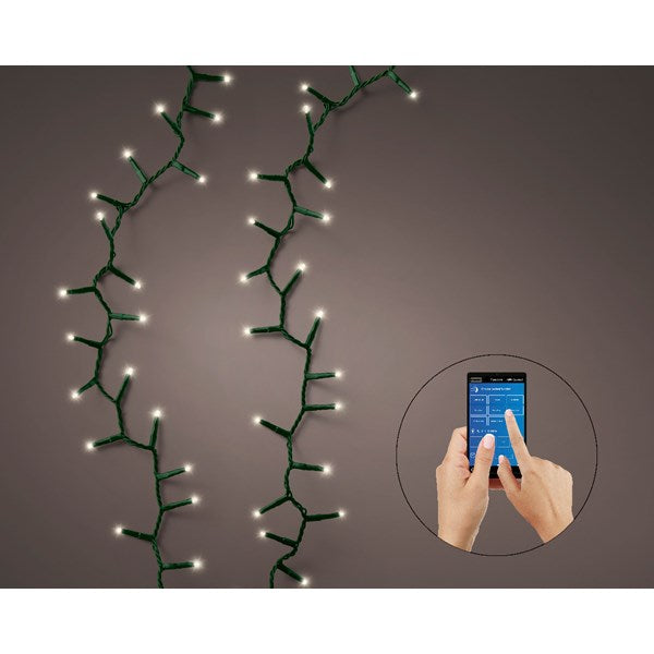 Serie Luci Natale 1000 LED App-Control 22,5Mt