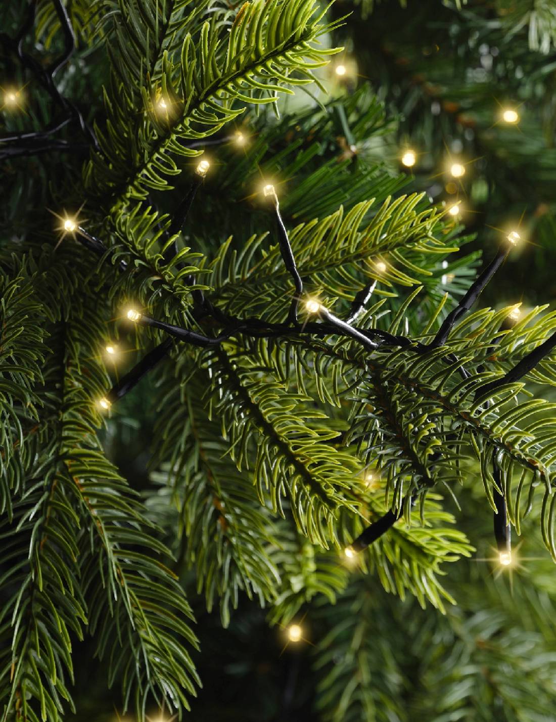 Serie Di Luci Natale Excellent Twinkle Oro Suave 1584 LED 25m