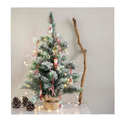 13924_3|7e8b8790742a8215d92116392a2047fe