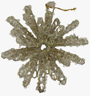 14245_1|9d344a186dff85f55c9a86d361d0443a